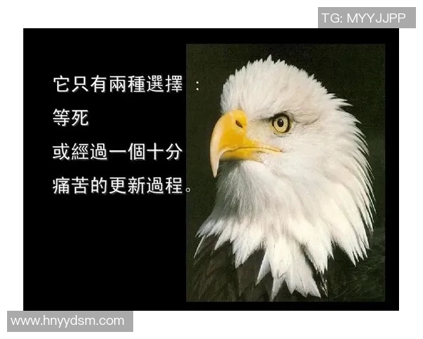 恩佐的成长之路：从平凡少年到璀璨明星的奋斗历程与人生启示